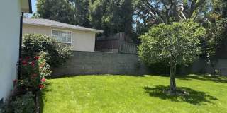 6239 Cleon Avenue Gallery 15
