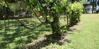 Exclusively Offered By Muse Realty Rentals, LLC Gallery 60