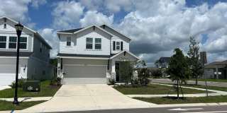 Wesley Chapel, Florida Executive home Wesley Chapel, Florida Executive home Gallery 1