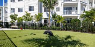 Illumina at Gulf Coast Town Center Gallery 20