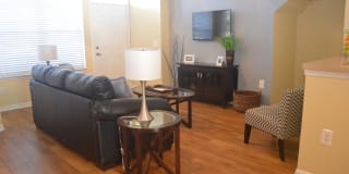 Springs at Palma Sola Gallery 10