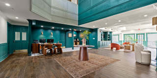 505 Collection Gallery 56