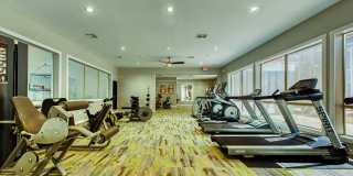 Galleria Palms Gallery 17