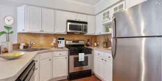 Courtyard at Jefferson Gallery 6