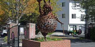 Whimsical Pig Gallery 20