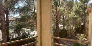 3145 E Flamingo Road Gallery 28