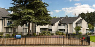 Brookside 112 Gallery 17