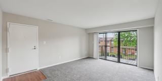 Grove at Alban Gallery 28