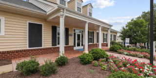 Cobalt Ridge Gallery 16