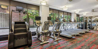 Courtland Park Gallery 14