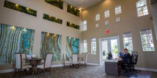 Lexington Palms at the Forum Gallery 38