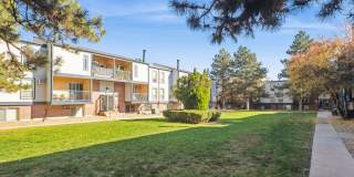 ReNew Pinehurst Gallery 41