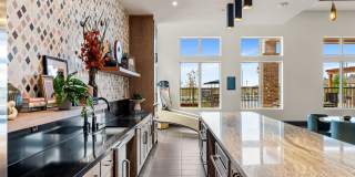 Marlowe Wellington Gallery 17