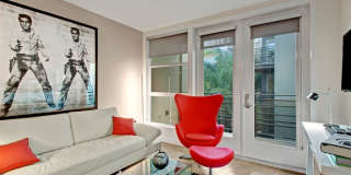 Fiona Gallery 14