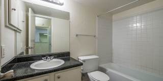 Castlewood Gallery 40