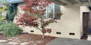 Charming Campbell 3/2 Gallery 4