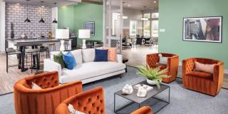 Prose Rhyne Gallery 7