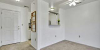 338 West Saginaw Street Gallery 4