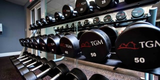 TGM Oceana Gallery 24