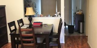 Beautiful 2-bed condo available in early October! Gallery 4