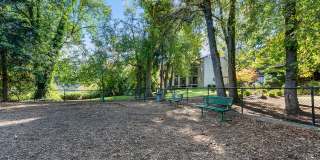 Miramonte Lodge Gallery 41