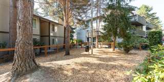 Alder Bellevue Gallery 22