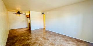 Desert Atrium - Studios, 1 Bedrooms and 2 Bedrooms in Great Location! Community Pool! Gallery 16