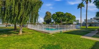 6627 N 27th Ave Gallery 28