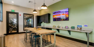 Windsor 335 Gallery 31