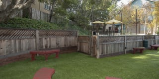 Pacific Vista Gallery 13