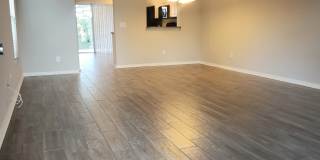 15702 Fishhawk Falls Dr Gallery 5