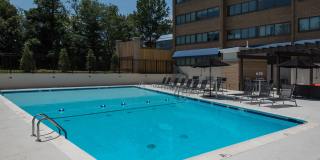 The Mark Alexandria Gallery 19