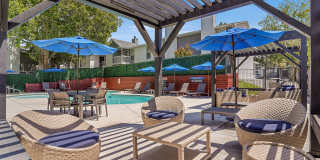 Telegraph Hill Gallery 15