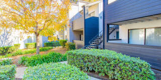 The Landing at Long Beach Gallery 4