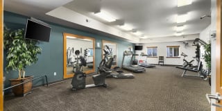 Mirabolante Apartments Gallery 7