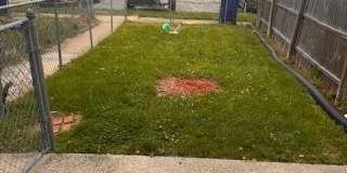 1090 CAMERON Road Gallery 19