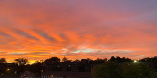 100 Kane Street Gallery 25