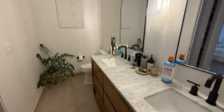 4619 Poinciana Street Gallery 12