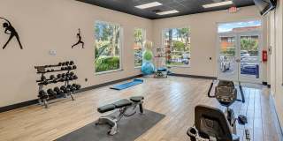 Cornerstone Gallery 31