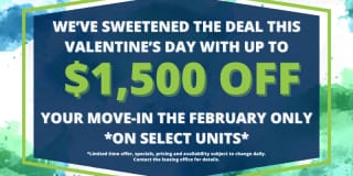 LPM Apartments Gallery 2