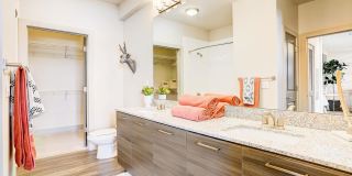 One 305 Central Gallery 6