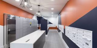 Altair at the Heights Gallery 15