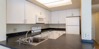 Ocean Crest Gallery 4