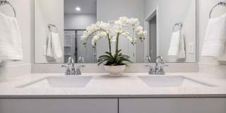 Ashford Townes Gallery 20