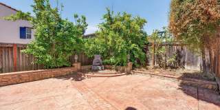 3107 Browntail Way Gallery 28