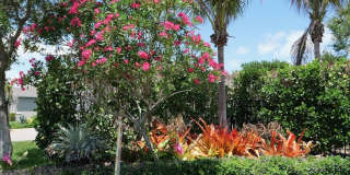 1753 NE White Pine Terrace Gallery 51