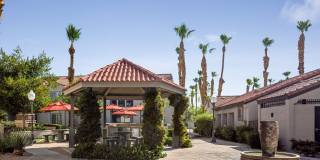 Crystal Cove Gallery 15