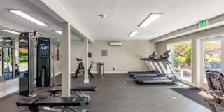 Alder Bellevue Gallery 13