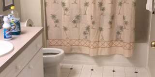 FURNISHED 1 bedroom 1 bath for rent lease 571 Water St., Celebration, FL 34747 Gallery 5