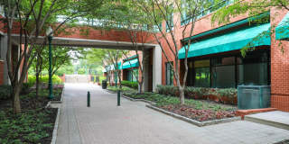 Symphony Center Gallery 35